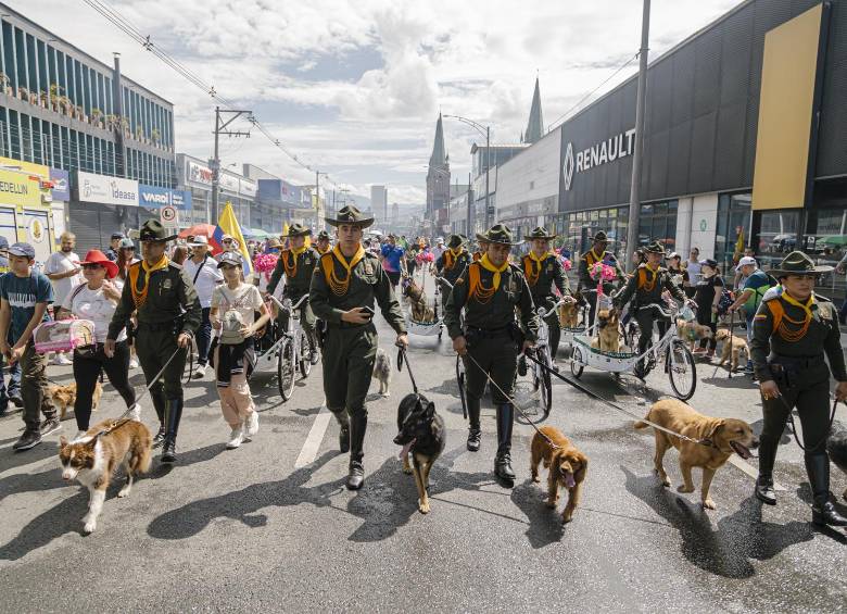 Caminata Canina de Tierragro. Foto: Cortesía.