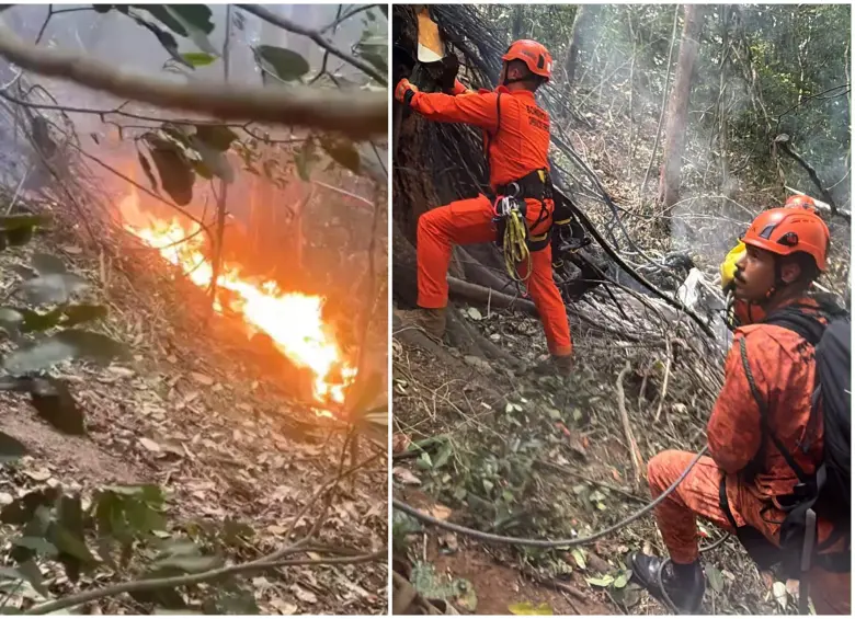 Un helicóptero turístico se estrelló este sábado en un sector boscoso y de difícil acceso en Río de Janeiro, provocando la muerte del piloto y tres ciudadanas colombianas. FOTO: AFP y captura de video de redes sociales