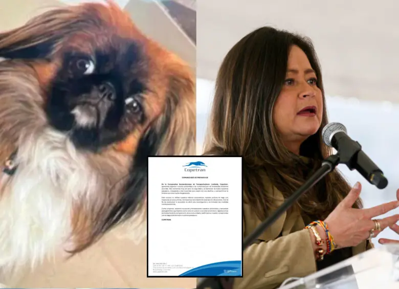 La ministra María Fernanda Rojas anunció investigaciones en el caso de la muerte de Maxi, un pekinés que fue obligado a viajar en la bodega de equipaje. Fotos: Colprensa y cortesía