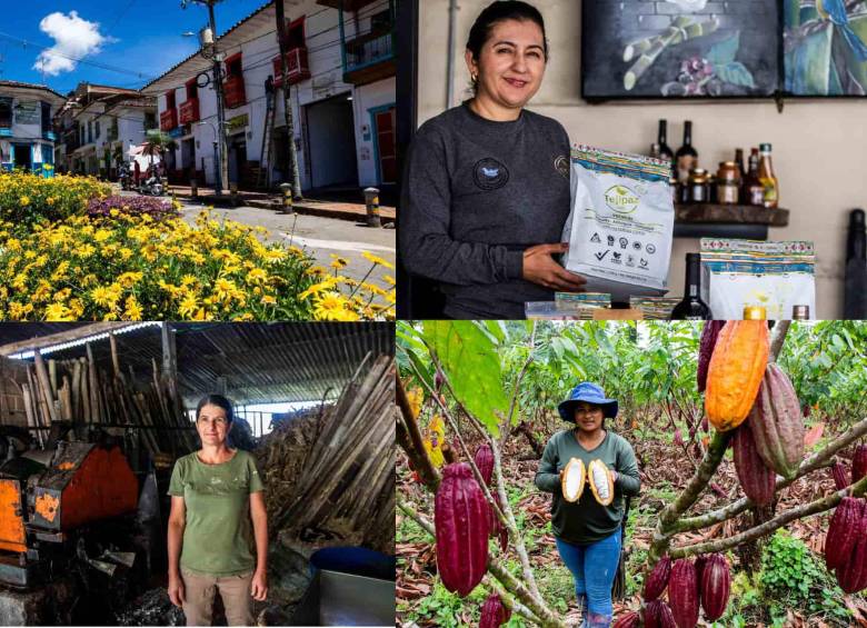 Las familias que el conflicto armado desplazó regresaron a sus tierras y hoy lideran los cultivos en alta calidad de café y cacao en el Oriente antioqueño. Foto: Julio César Herrera
