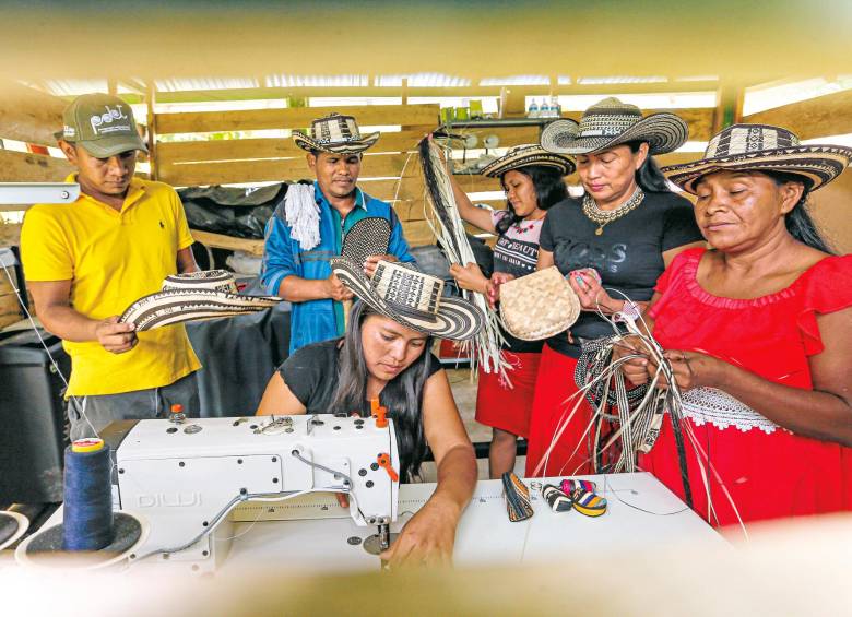 La comunidad indígena de El Polvillo recuperó la tradición ancestral del sombrero vueltiao propio de la etnia Senú. Es un proceso tecnificado con maquinarias y en cadena. FOTOS esneyder gutiérrez