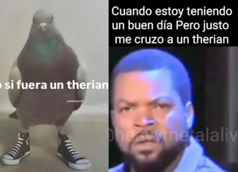 FOTO: Redes sociales