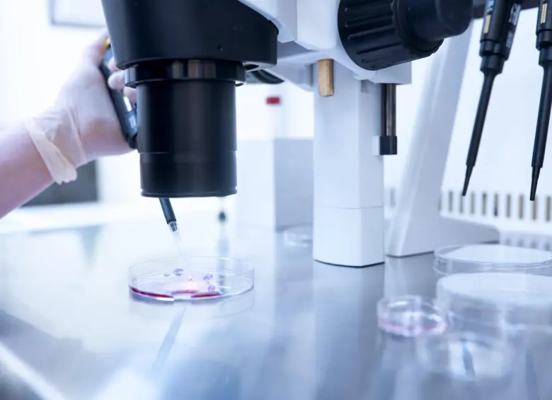 Imagen de referencia del proceso de la fertilización in vitro. FOTO: Cortesía de Fertility Center of Orlando (Centro de Fertilidad de Orlando)