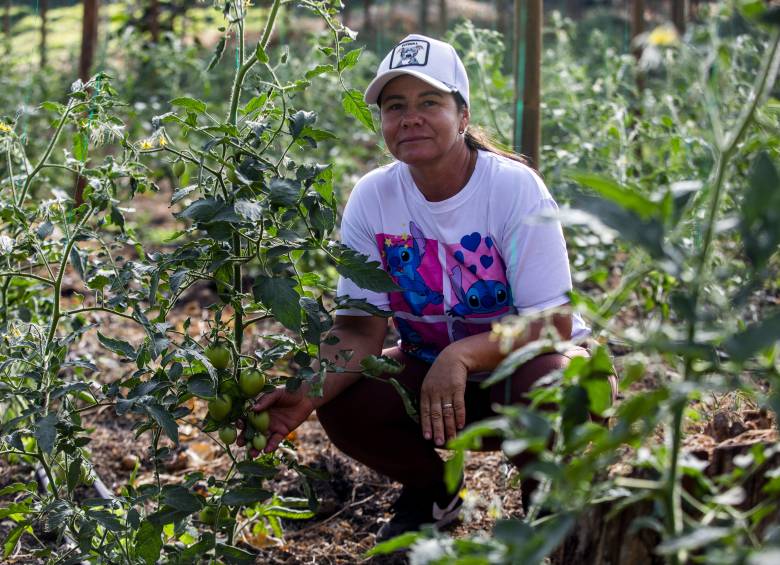 Son 10 las que impulsan la Asociación de Mujeres Emprendedoras de Carolina del Príncipe, entidad que lidera Marina Restrepo. FOTO Julio César Herrera