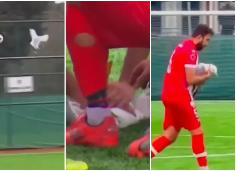 Secuencia de cómo el balón impactó a la gaviota, por lo que después fue atendida por los jugadores en el campo de juego. FOTO: Captura video de redes sociales @AlertaMundoNews