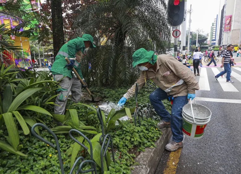Funcionarios de la Alcaldía de Medellín deben atender esta situación y tapar los desdechos con cal. Foto: Manuel Saldarriaga Quintero.