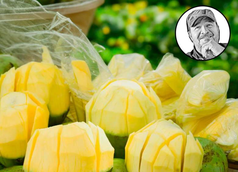 ¿Qué recuerdos llegan a su cabeza cuando ve mangos biches así? FOTO EL COLOMBIANO