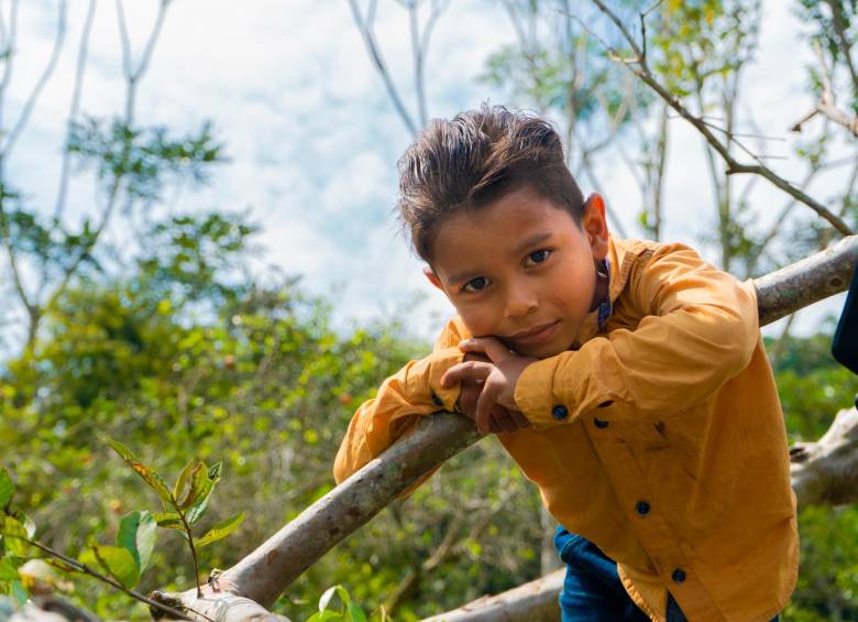 Masbosques y Bancolombia trabajan juntos por la conservación