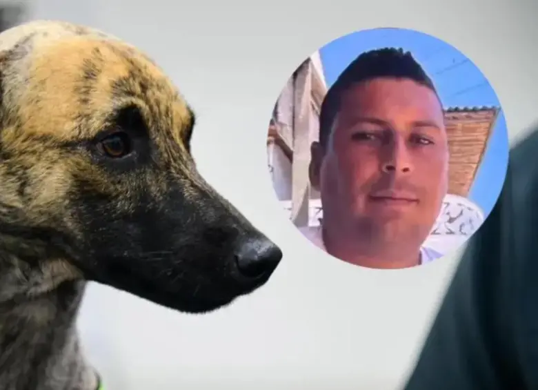 Justicia en caso de maltrato animal que indignó a Antioquia: agresor aceptó los cargos. FOTO: Gobernación de Antioquia