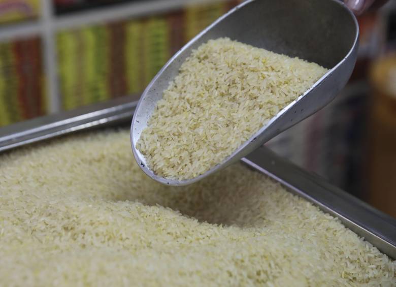 Durante el primer semestre de 2026, la producción nacional de arroz mecanizado cayó 12,3%. Foto: Edwin Bustamante 