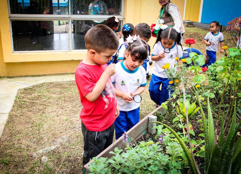 Los niños y niñas se involucran en el cuidado de las plantas presentes en los centros donde ellos son atenidos. FOTO: CORTESÍA ALCALDÍA