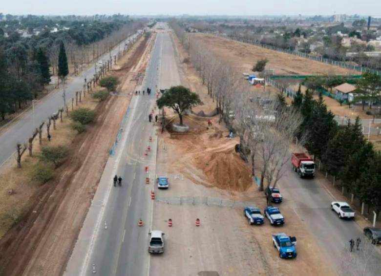 El quebracho blanco estaba ubicado a un costado de una autopista que se ampliará de dos a cuatro carriles en Villa Allende, cerca de Córdoba, en Argentina. FOTO: AFP