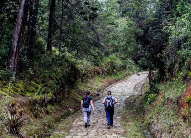 Personas haciendo senderismo. FOTO: JULIO CESAR HERRERA