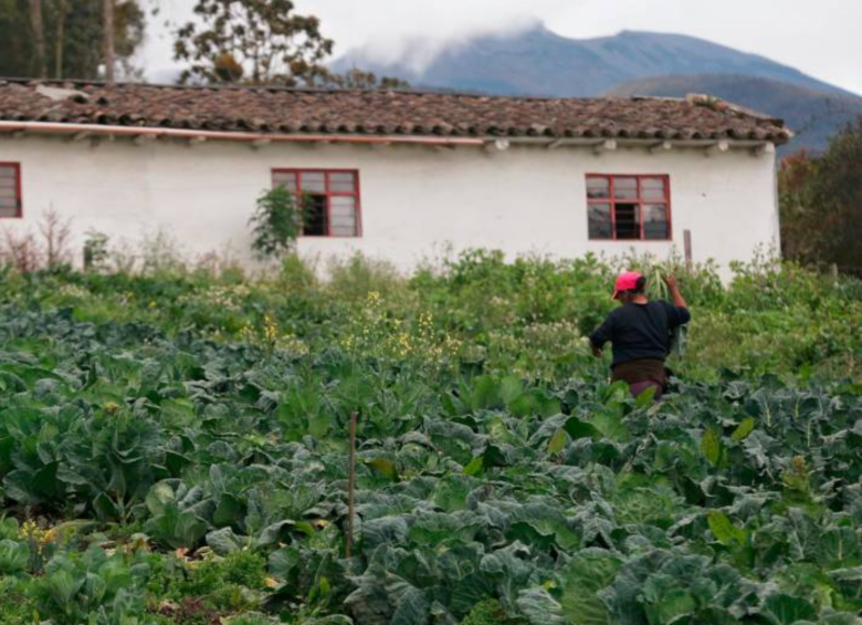 La inspección del Ministerio Público tuvo como objetivo rastrear información sobre la compra de tierras para campesinos en los programas de Reforma Agraria. FOTO: Colprensa