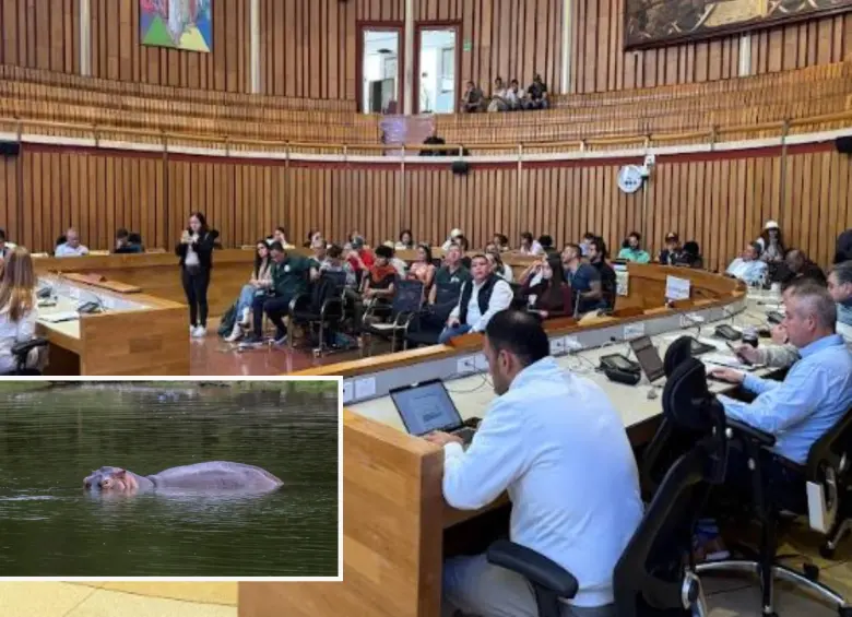 Adelante, uno de los hipopótamos que merodea en el Magdalena Medio antioqueño. Atrás los diputados de la Asamblea de Antioquia durante el debate. FOTO: Cortesía y EL COLOMBIANO