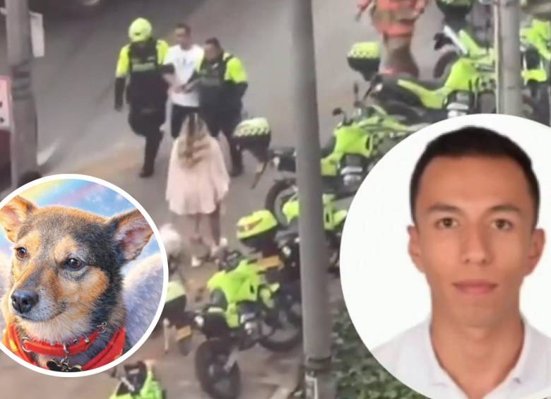 Este sujeto habría lanzado al perrito en medio de una discusión dentro de un apartamento del edificio en Bogotá. FOTO: Captura de video de redes sociales @PlataformaALTO y cortesía Corazón Animal Vegano