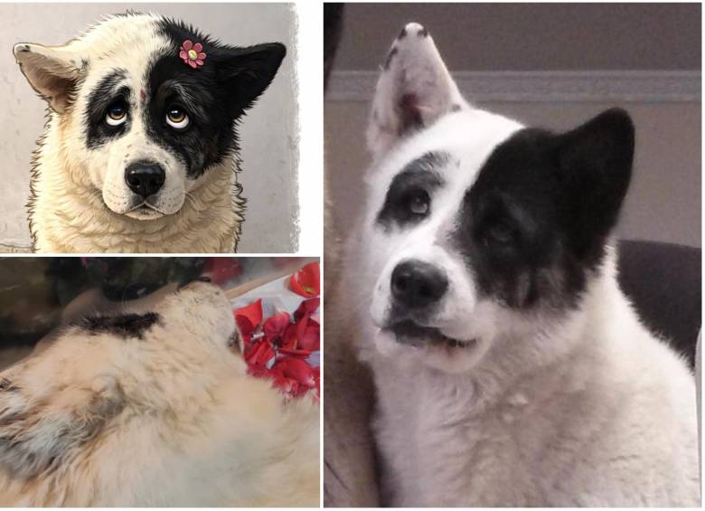 Ella era Kira, de 15 años. FOTO: Cortesía