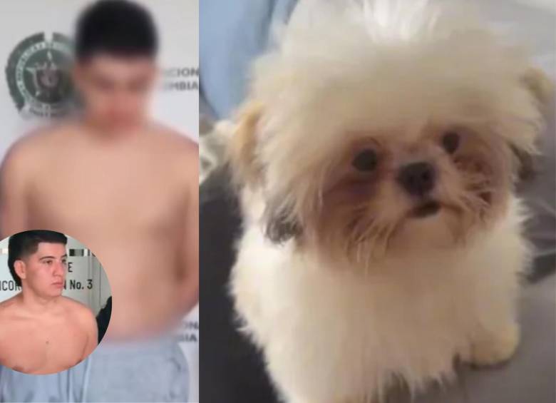 A la izquierda Mora, el presunto responsable. A la derecha Princesa, la perrita que murió tras ser lanzada. FOTOS: REDES SOCIALES.