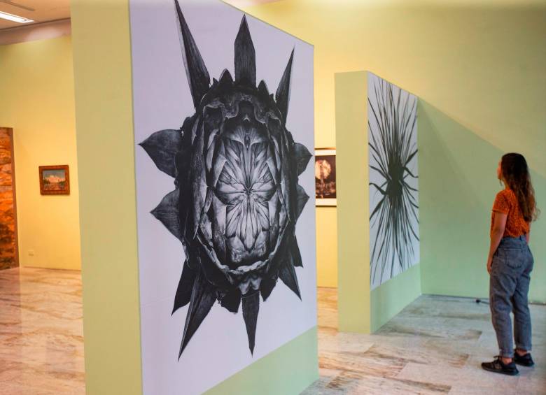 Exposición en Sura reúne más de un siglo de arte y naturaleza