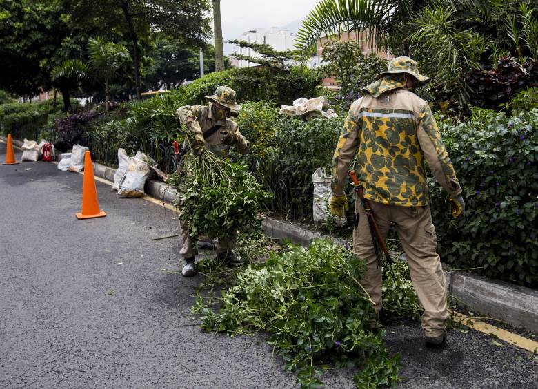 Jardineros realizan sus labores de ornato en un o de los parques de la ciudad. Foto: EL COLOMBIANO