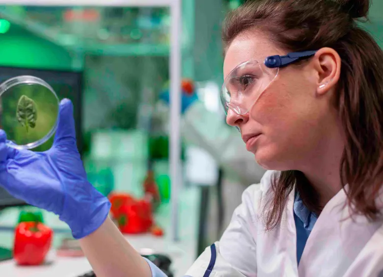 Gobierno habla de fortalecer AGROSAVIA, pero cifras muestran recorte de hasta 60% y alertan riesgos al patrimonio genético. FOTO: FREEPIK