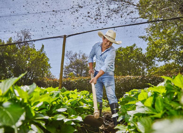Los proyectos que son financiados por este proyecto de Bancolombia generan mayor bienestar para el planeta y para las comunidades. FOTO Cortesía