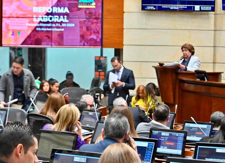 Plenaria del Senado retoma el debate FOTO CORTESÍA. 