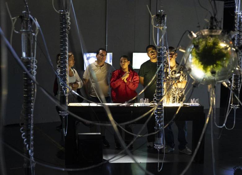 I Festival Fontosíntesis, puro punk planetario