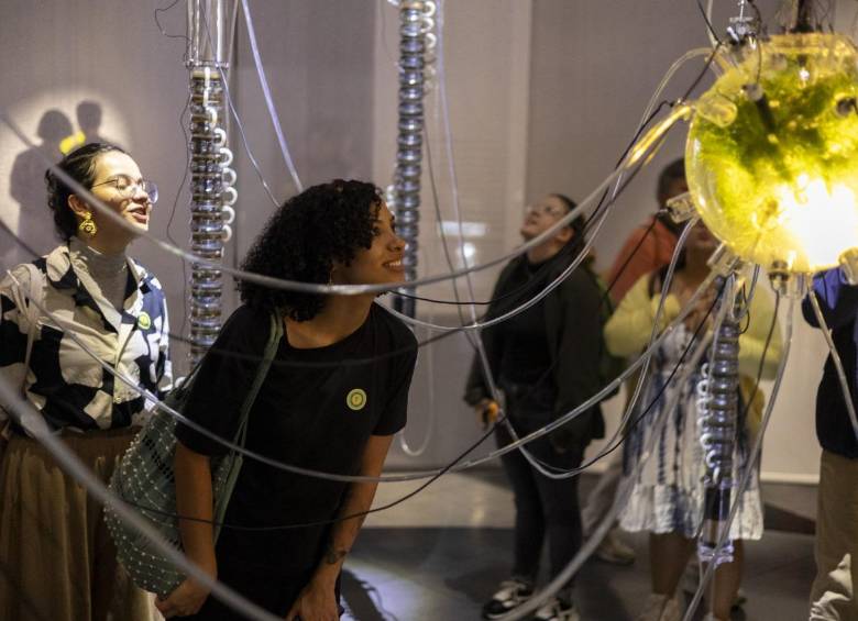 I Festival Fontosíntesis, puro punk planetario