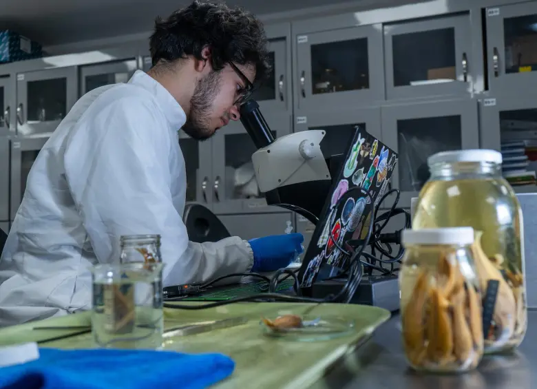 1.270 especímenes pertenecientes a 183 especies hacen parte de esta biblioteca genética. FOTO: Grupo de Ictiología de la Universidad de Antioquia. 