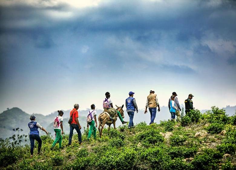 La restitución de tierras en Colombia ha dejado trazos de reparación significativos, especialmente en los últimos cuatro años, y avanza silenciosa, pero efectivamente. Foto: Cortesía