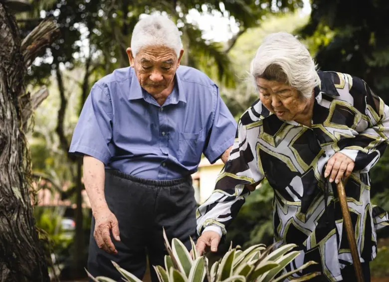 Población de centenarios en Japón alcanza nuevo récord con casi 100.000. FOTO: GETTY