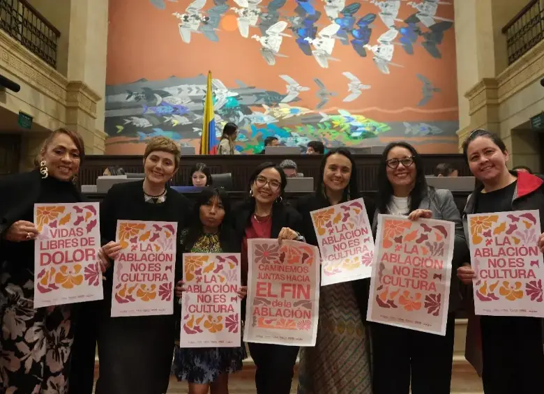 El proyecto es de autoría de las representantes a la Cámara, Alexandra Vásquez, Jennifer Pedraza y Carolina Giraldo. FOTO: CÁMARA DE REPRESENTANTES.