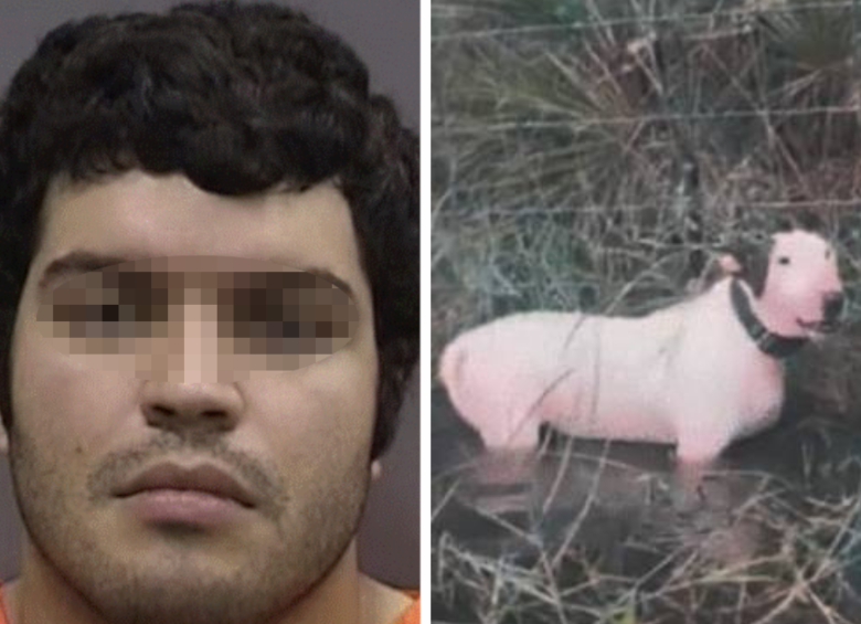 Las autoridades estadounidenses capturaron a Giovanny Aldama García, señalado de abandonar a un perro previo al huracán Milton en Florida. Foto: Hillsborough County Sheriff’s Office