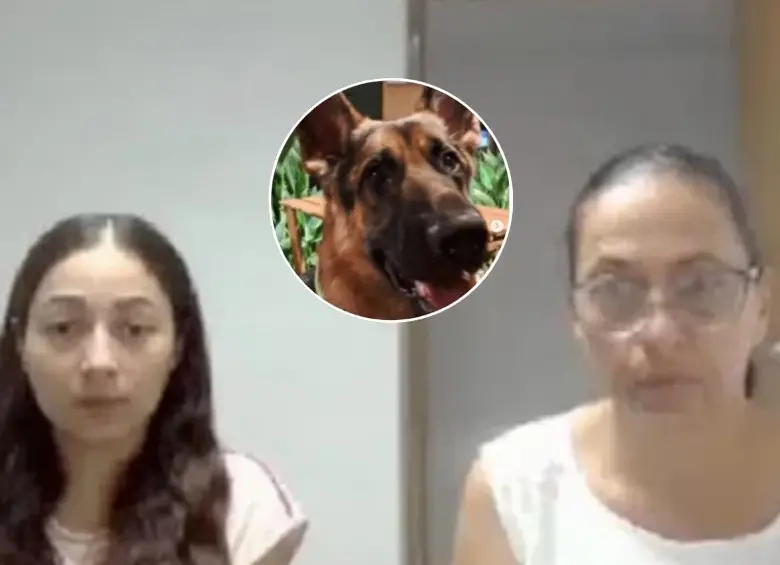 Teresita de Jesús Alcocer Puentes y su hija, Arlin Winneth Cuello Alcocer fueron condenadas por matar a un perro. FOTOS: FIscalía - tomada de redes sociales 