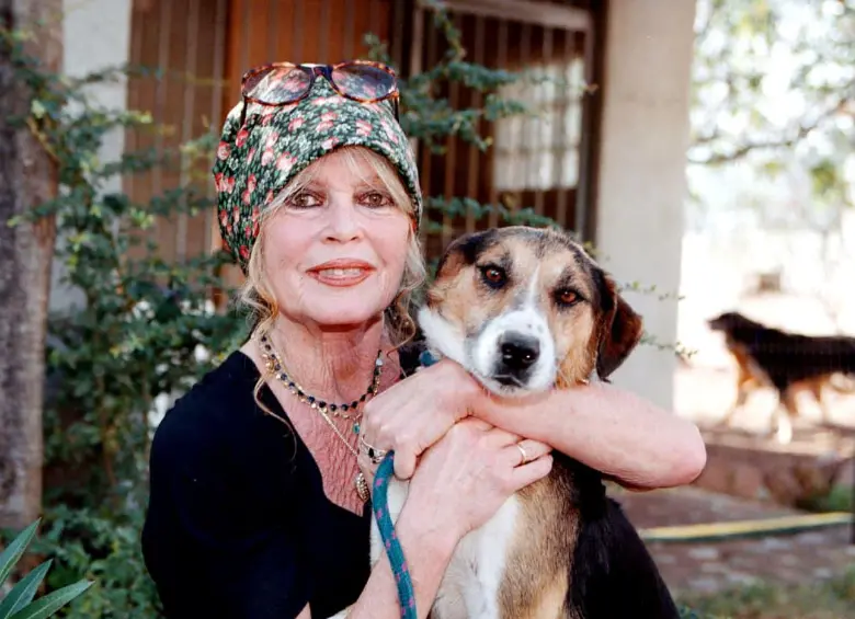 El cine francés lamenta la muerte de la actriz Brigitte Bardot, a sus 91 años. FOTO: Archivo EL COLOMBIANO