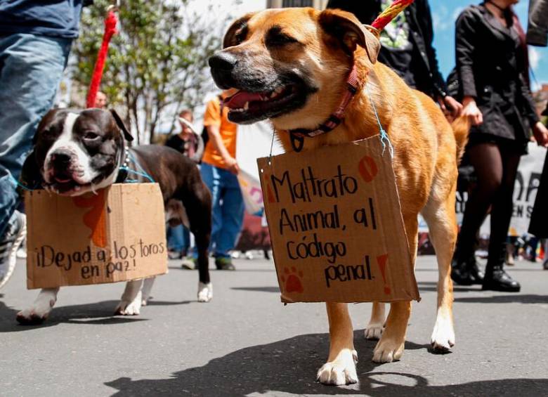 Organizaciones animalistas piden celeridad judicial en los procesos por maltrato animal en el país. FOTO: COLPRENSA.