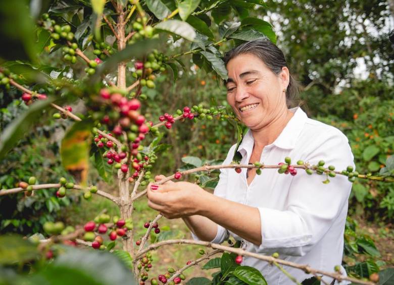Hoy el 31% de los caficultores en Colombia son mujeres, una cifra significativa que muchas veces pasa desapercibida en un sector históricamente asociado con los hombres. FOTO: Cortesía Nesspreso.