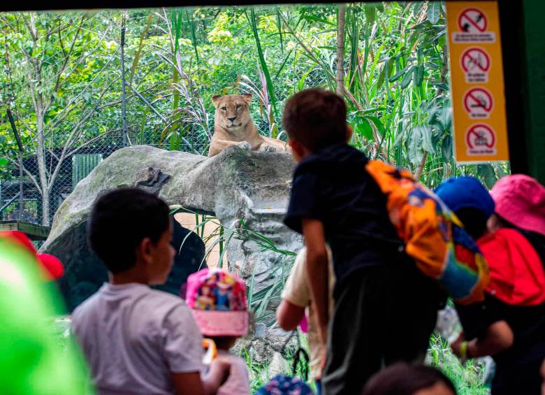 El Parque de la Conservación es uno de los lugares que tendrá programación especial durante las vacaciones. FOTO: Camilo Suárez