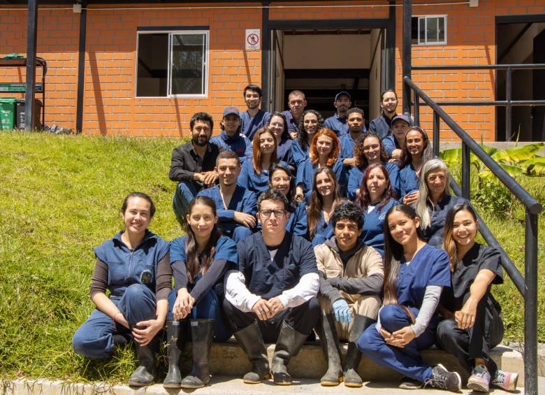 Cornare recibe más de 2.000 animales silvestres cada año que requieren atención médica. FOTO: Cortesía