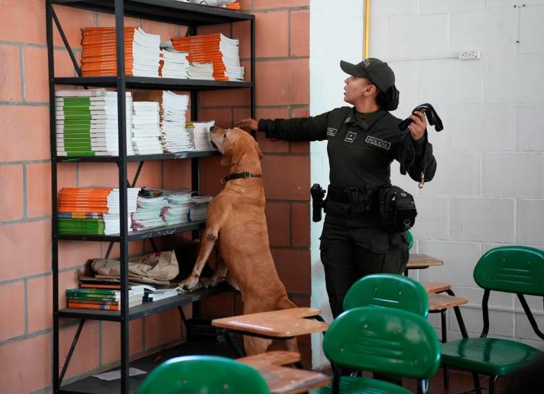 La requisa a las instalaciones escolares ayudada por perros es uno de los componentes de la campaña. FOTO: ALCALDÍA DE RIONEGRO