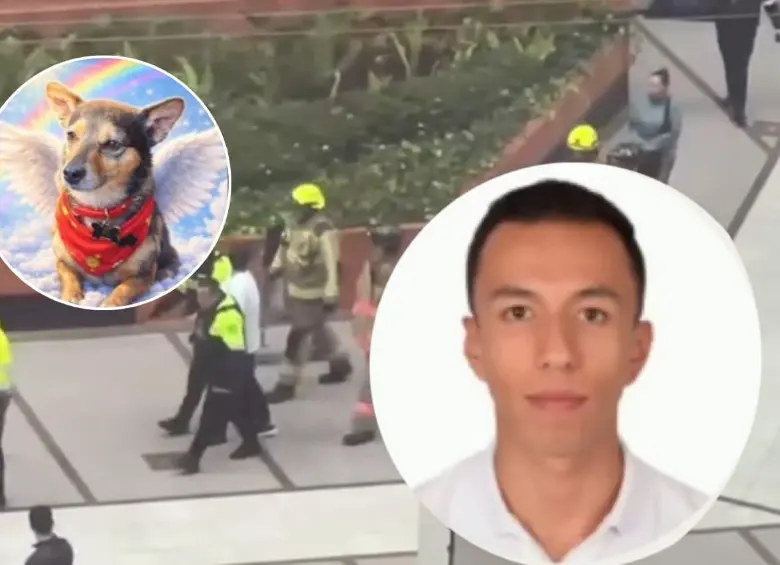 Habló el dueño del perrito Tonny, que fue lanzado desde el piso 25 de un edificio. Esto fue lo que contó. FOTO: Captura de video 