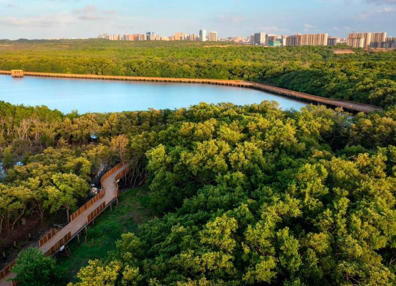 La ciénaga tiende a convertirse en otro polo de desarrollo para Barranquilla. SANTIAGO OLIVARES TOBÓN Y CORTESÍA ALCALDÍA DE BARRANQUILLA