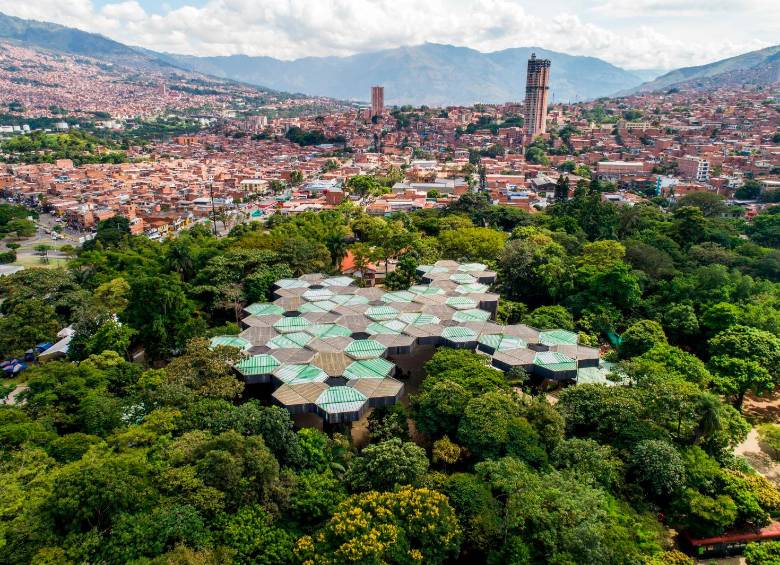 Las reservas de la Red CICAPE, ubicadas en Antioquia, son el hogar de epífitas en peligro de extinción y el proyecto del Jardín Botánico busca protegerlas mediante su propagación y reintroducción. FOTO Manuel Saldarriaga