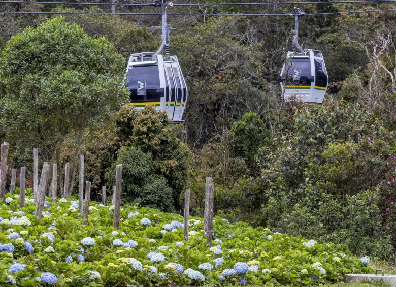 El Parque Arví, el más fotografiado en Medellín según los datos de la plataforma. FOTO: Juan Antonio Sánchez Ocampo