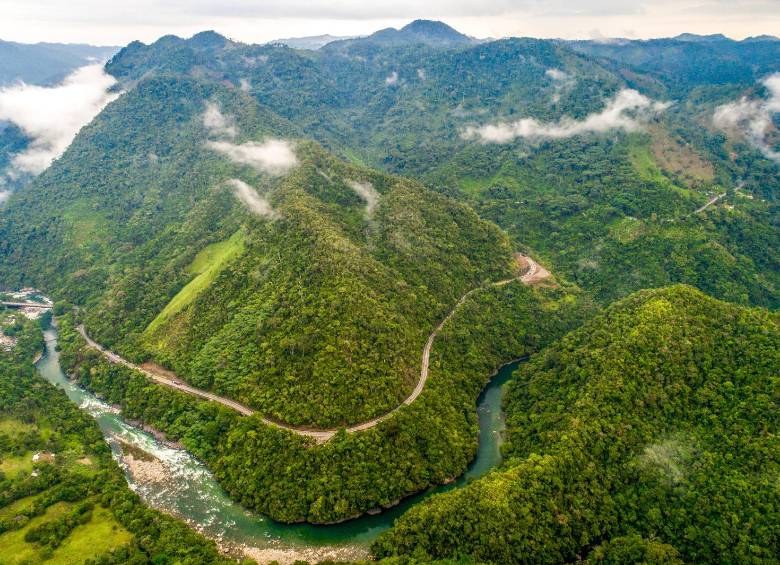 Los bosques y ríos del Oriente antioqueño conforman uno de los sistemas ambientales más importantes de Antioquia. FOTO: EL COLOMBANO