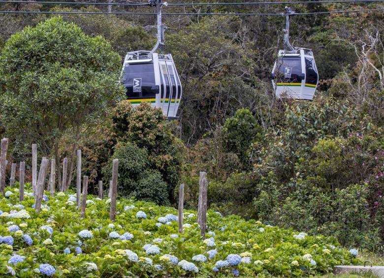 Desde la Alcaldía de Medellín señalaron que van a trabajar para potenciar al Parque Arví como atractivo turístico y, de paso, recuperar la confianza de la entidad y sus finanzas. FOTO julio herrera 