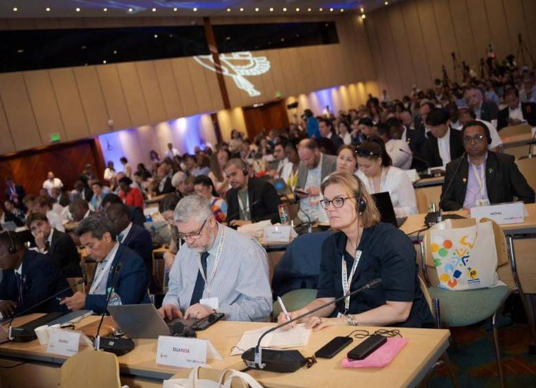 Cumbre en Santa Marta debate el futuro de los combustibles fósiles. Foto: Cancillería Colombia