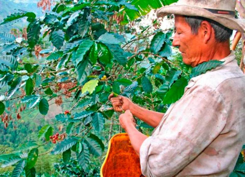 A los cafeteros también les preocupa la reforma tributaria