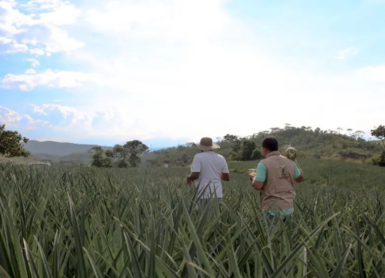Colombia tiene más de tres décadas de retraso en el avalúo catastral, por eso este año empezaron nuevos cobros que desataron protestas en el país. Foto: Colprensa
